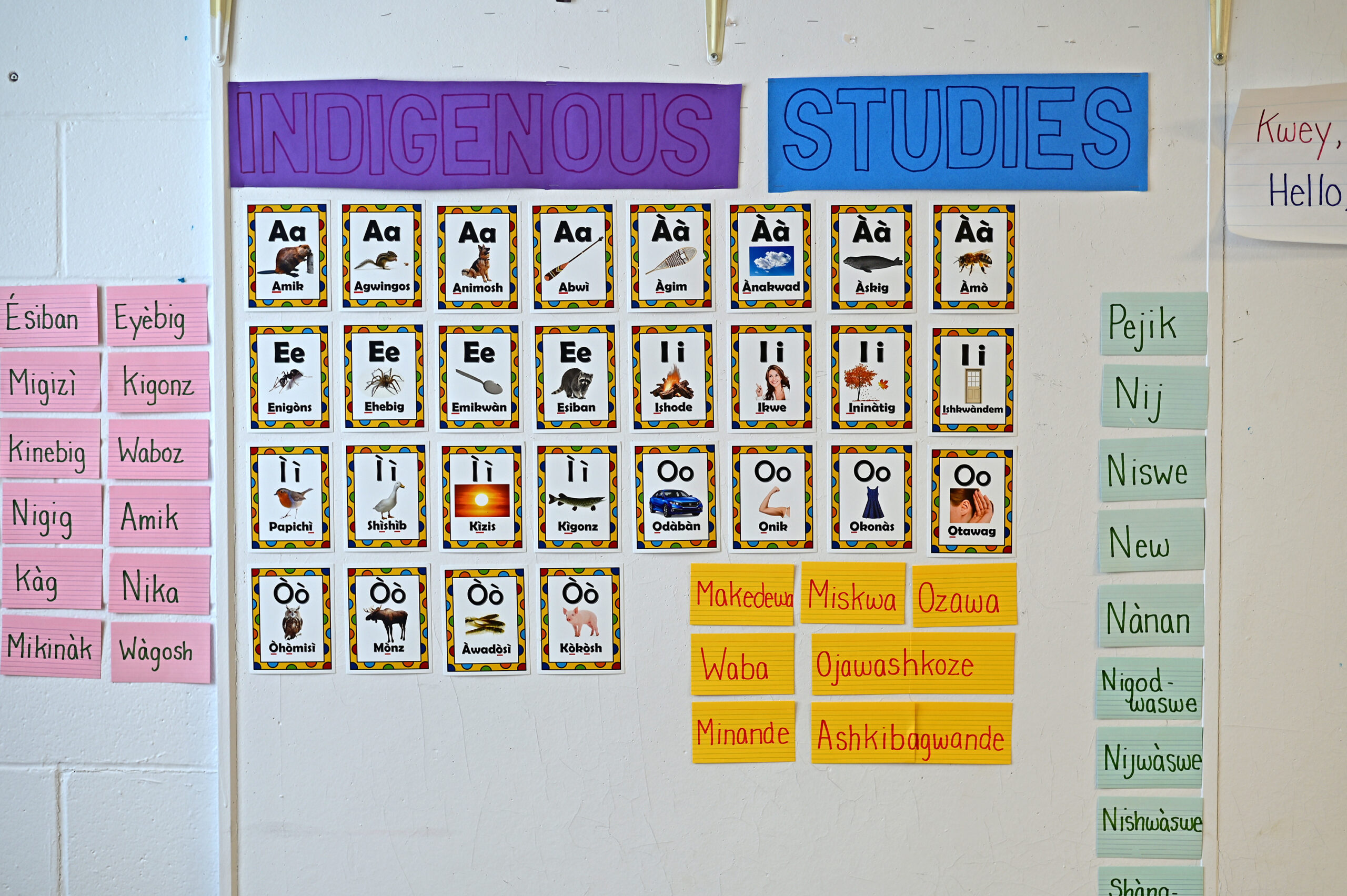 Drew's classroom walls are full of Indigenous knowledge