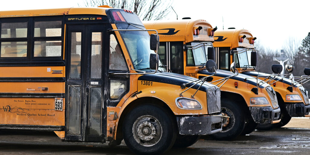 busses